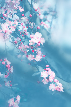 花背景