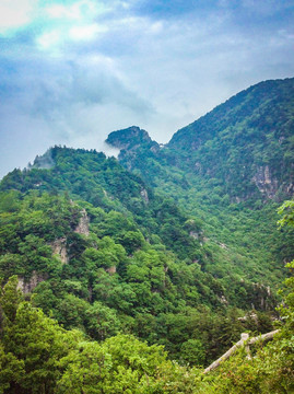 牛背梁风景区