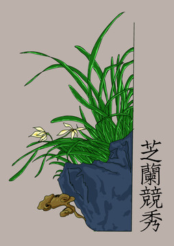 芝蘭競(jìng)秀