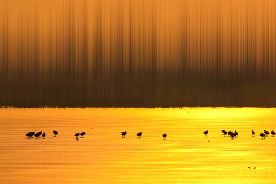 溢泉湖夕阳