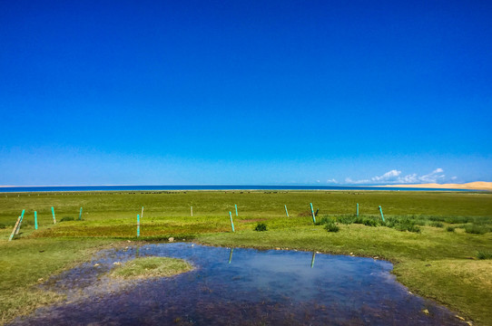 青海湖风光