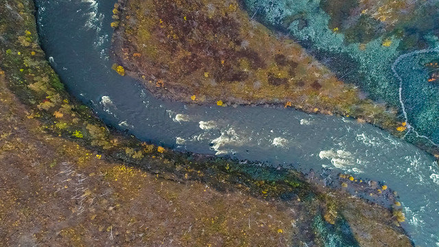 无人机航拍秋季河流森林