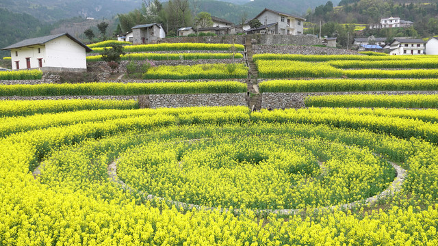 美丽乡村