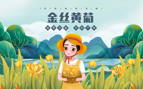金絲菊農(nóng)家女包裝插畫(huà)