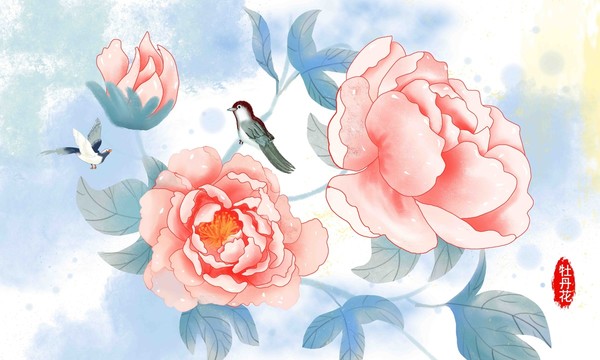 牡丹花