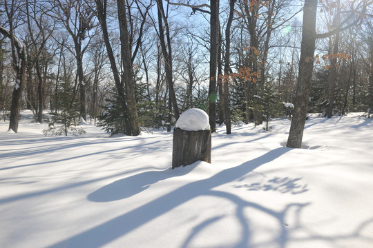 雪景素材