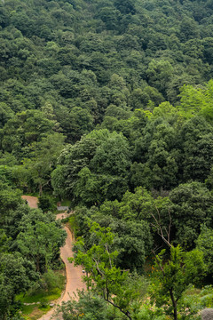 山间小路