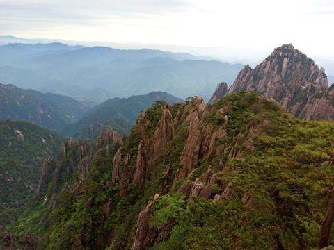 高山