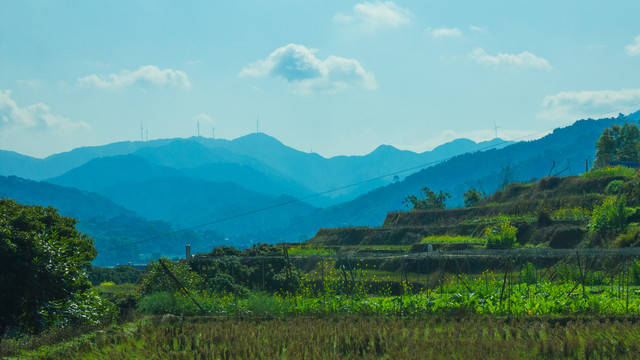 宁静的田野