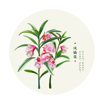 鳳仙花