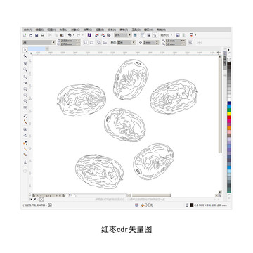 紅棗cdr矢量圖
