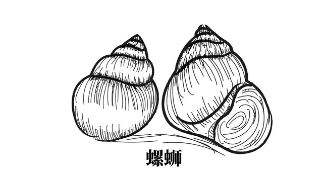 螺螄