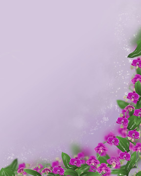 紫色蘭花背景