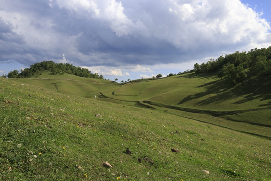 关山牧场