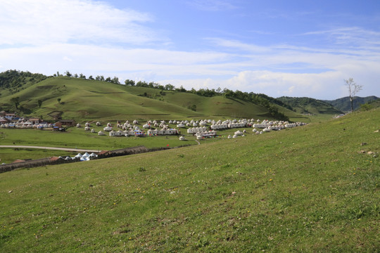 关山牧场