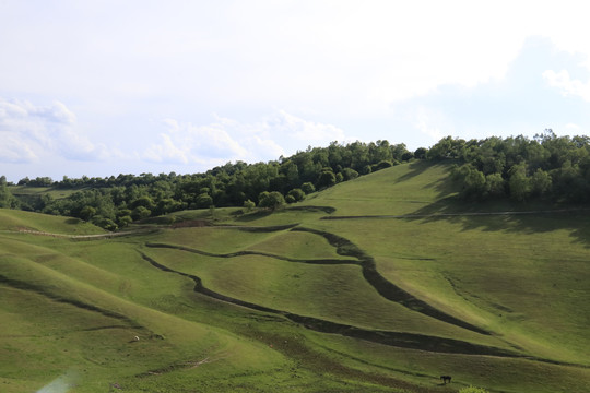 关山牧场