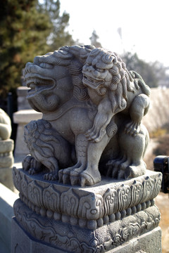 盧溝橋的獅子數(shù)不清