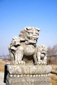 盧溝橋的獅子數(shù)不清