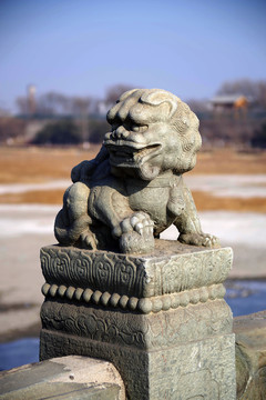 盧溝橋的獅子數(shù)不清