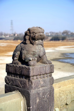 盧溝橋的獅子數(shù)不清
