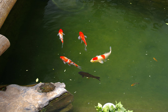 正阳观水前门三里河