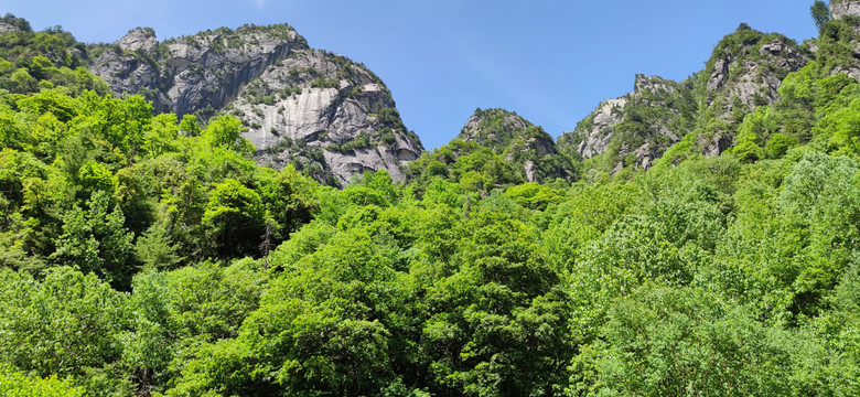 大山风景