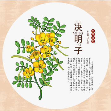 決明子