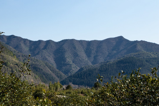 山峰森林风光