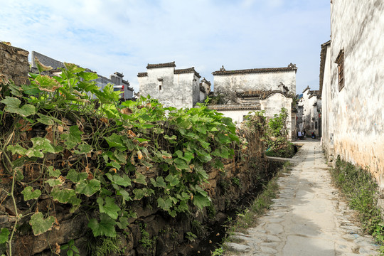 屏山古村