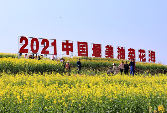 汉中油菜节