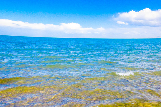 碧藍的青海湖