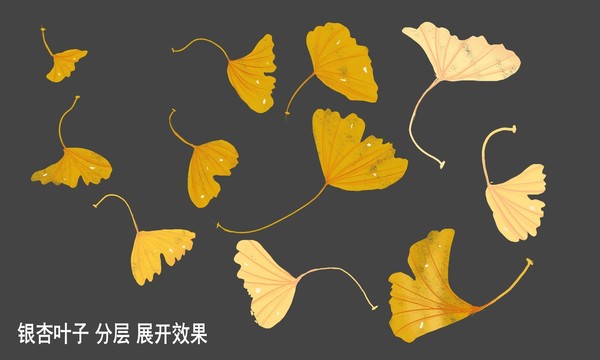 手繪銀杏葉