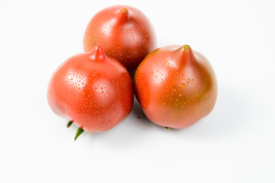 铁皮西红柿