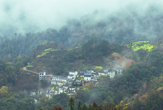 黄山市歙县坡山村油菜花云雾风景