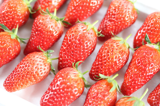 红草莓背景图