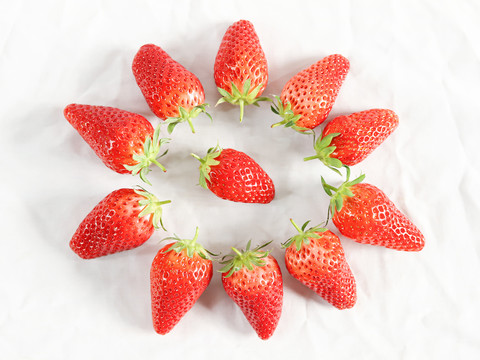 草莓圆形摆拍