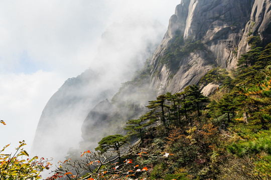 安徽黄山风光