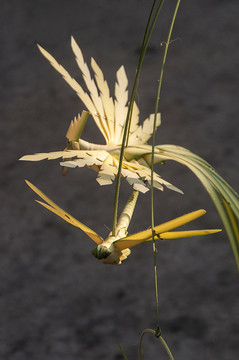 草编昆虫