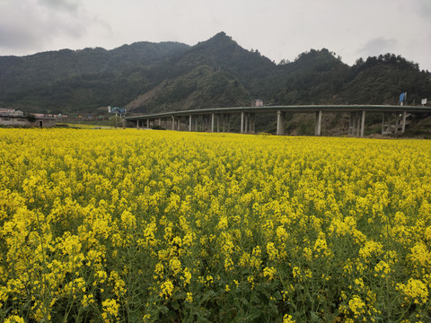 田园风光