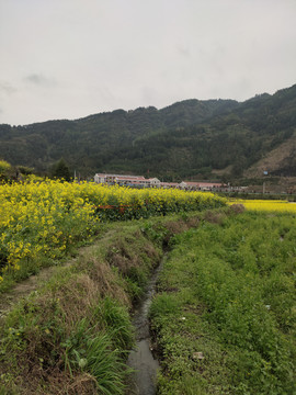 田园风光