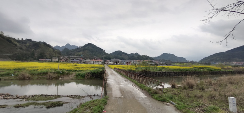 农村田园风光全景图