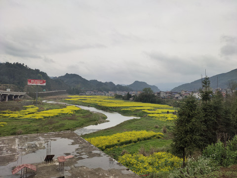 小山村与万亩油菜花