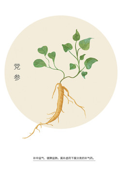 黨參