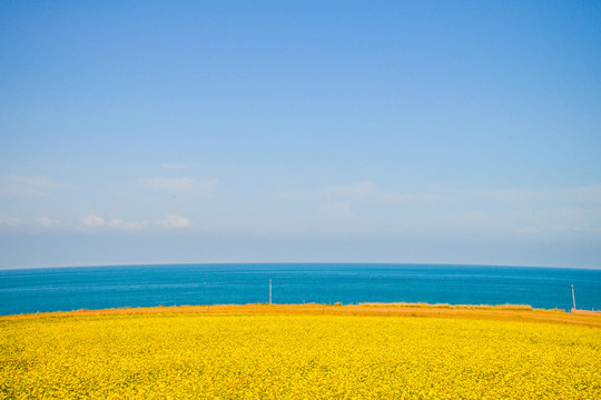 青海湖