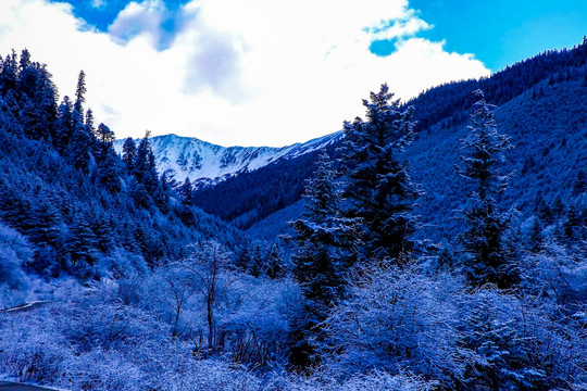 九寨沟山倒影