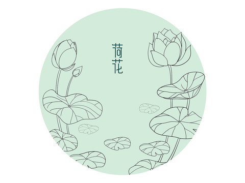 线描莲花