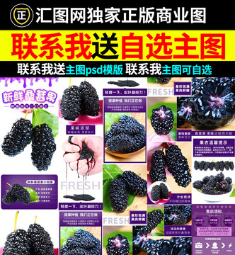 桑葚詳情頁(yè)