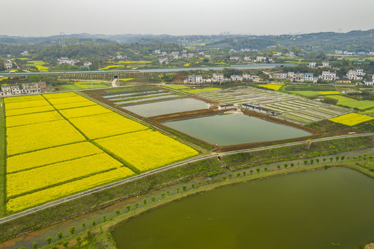 全心畈村春天风光