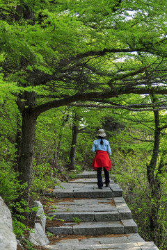 青岛崂山春光