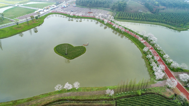 春天里的风景